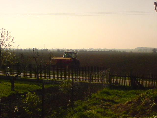 DSC07218.JPG