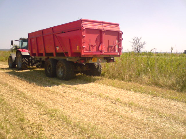 DSC08250.JPG