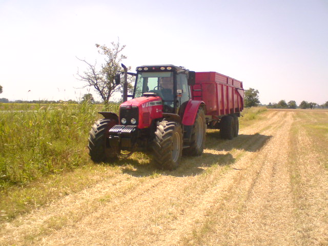 DSC08256.JPG