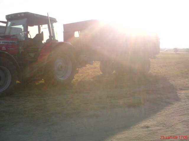 DSC08343.JPG