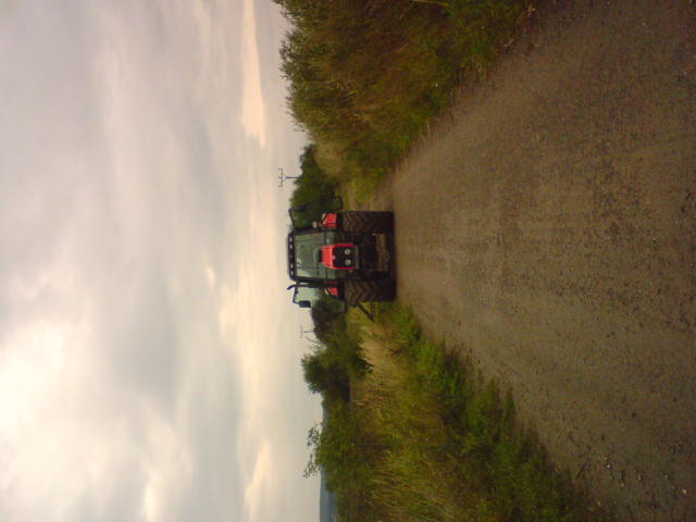 DSC00494.JPG