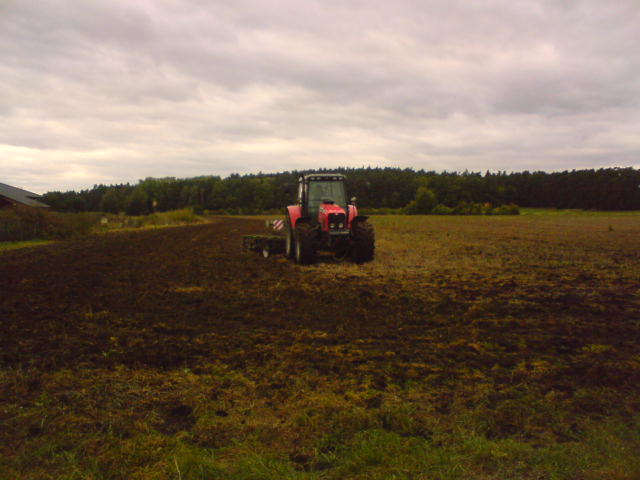 DSC00563.JPG